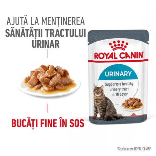 Royal Canin Urinary Care – Hrană Umedă pentru Pisici Adulte în Sos – 85 g